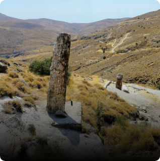 Petrified forest of Lesvos, ancient fossilised trees
